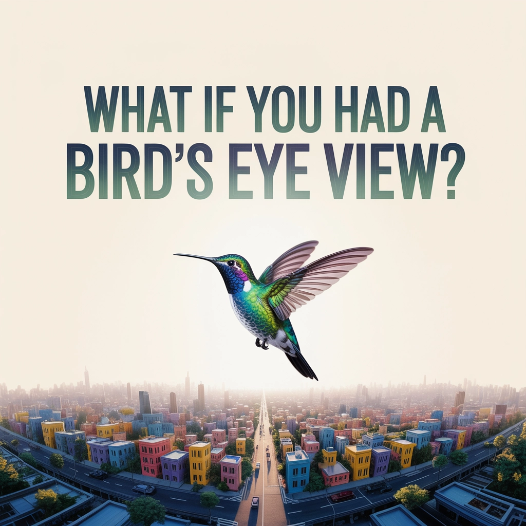 What If You Had a Bird’s Eye View?